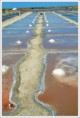 /album/the-islands/salt-marshes-in-re-jpg/